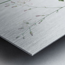 Wavy-leafed soap plant illustration  Metal print