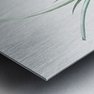 Pineapple illustration  Metal print