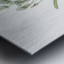 Slime lily illustration  Metal print