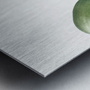 Hedgehog lily illustration  Metal print