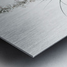 Thin asphodeline illustration  Metal print