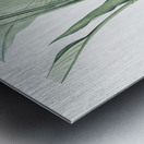 Turmeric illustration  Metal print