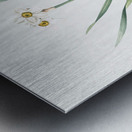 Sea asparagus illustration  Metal print