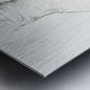 Daffodils illustration  Metal print