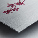 Netted-veined amaryllis illustration  Metal print