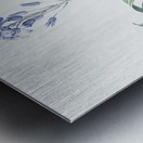 Netted-veined amaryllis illustration  Metal print