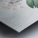 Pygmy hyacinth illustration  Metal print