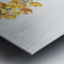 Sun star illustration  Impression metal