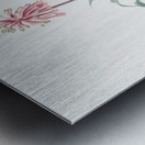 Broadleaf wild leek illustration  Metal print