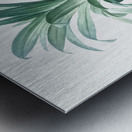 Broadleaf wild leek illustration  Metal print