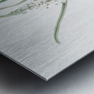 Broadleaf wild leek illustration  Metal print