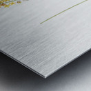 Bulbine illustration  Metal print