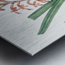 African flag illustration  Metal print