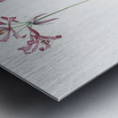 African flag illustration  Metal print