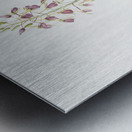 African flag illustration  Metal print