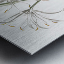 Spider lily illustration  Metal print