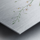 African flag illustration  Metal print