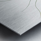 Petticoat daffodil illustration  Metal print