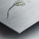 Angel tears illustration  Metal print