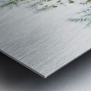 Asparagus fern illustration  Metal print