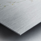 Asparagus fern illustration  Metal print