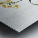 Asparagus fern illustration  Metal print