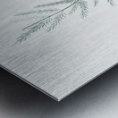 Asparagus fern illustration  Metal print