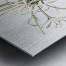 Poison bulb illustration  Metal print