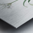 Poison bulb illustration  Metal print