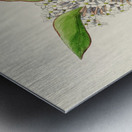 Acokanthera Spectabilis Metal print