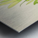 Leucadendron Stokoei Metal print