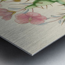 Sarcocaulon Rigidum Metal print