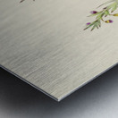 Clerodendron Triphyllum Metal print