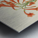 Cyrtanthus Rotundilobus Metal print