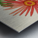 Gerbera Jameson Metal print