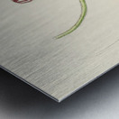 Ceropegia Meyeri Metal print