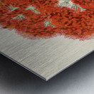 Crassula Falcata Metal print