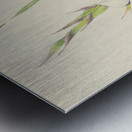 Gladiolus Rehmanni Metal print