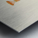 Senecio Stapeliaeformis Metal print