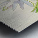 Nymphaea Stellata Metal print