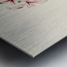 Pachypodium Succulentum Impression metal