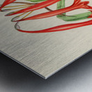 Cyrtanthus Augustifolius Metal print