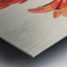 Clivia Miniata Metal print