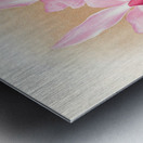 Cattleya Trianae var purpurata Metal print