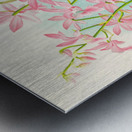 Calanthe veitch Metal print