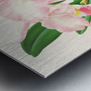 Cattleya Mendeli Metal print