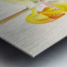 Coryanthes bungerothi  Metal print