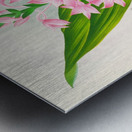 Calanthe Masuca  Metal print