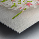 Calanthe regnieri Metal print