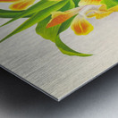 Chysis aurea Metal print